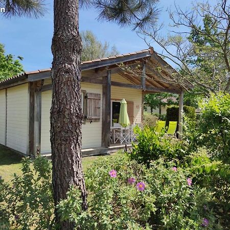 Cottage maison chalet entièrement rénové. Environnement calme Piscine chauffée Lac Parentis Extérieur photo